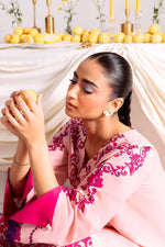 Ambal 2pc Velvet Stitched