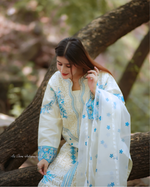 Nayaab 3pc