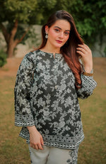 DILRUBA TRENDING ARTICLE 2PC STITCHED